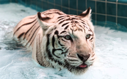 1756761 (a): :1920x1200